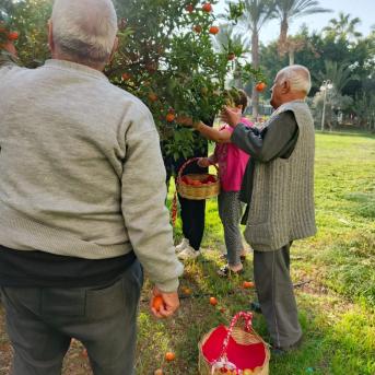 Doğa ve Hobi Etkinlikleri